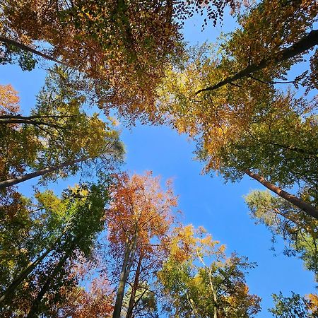 Fewo Am Wald Boek Kültér fotó
