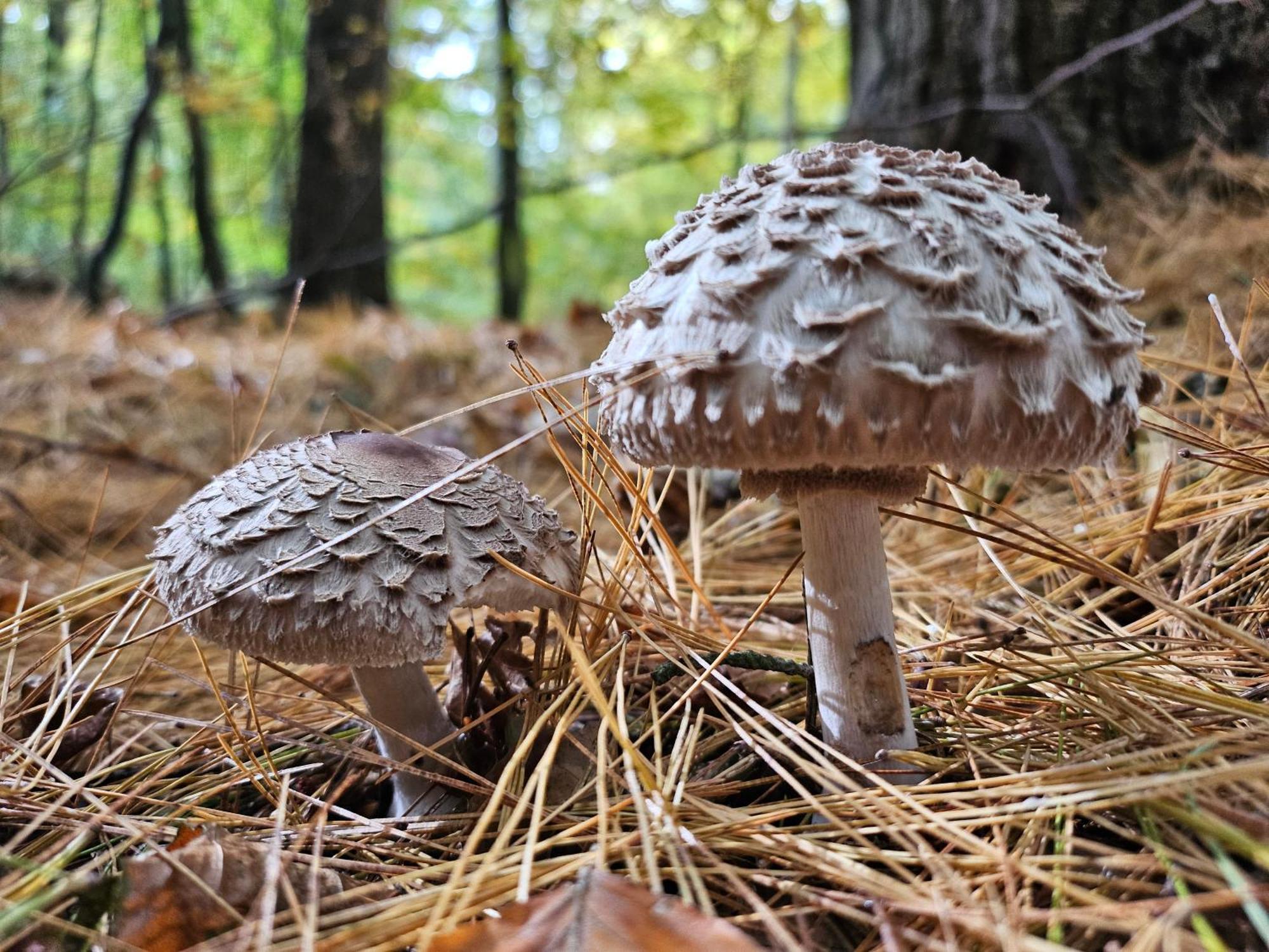 Fewo Am Wald Boek Kültér fotó